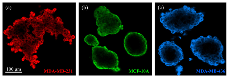 Figure 16