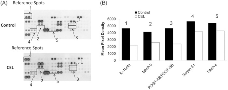 Figure 5.