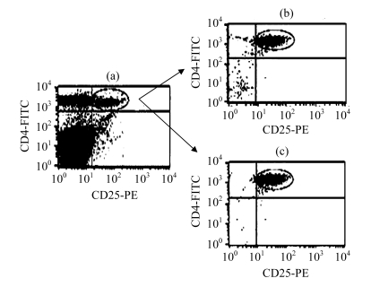 Fig.1