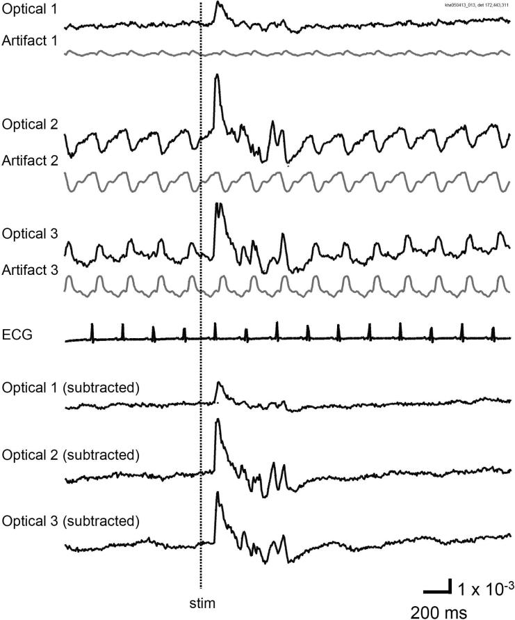 Figure 5