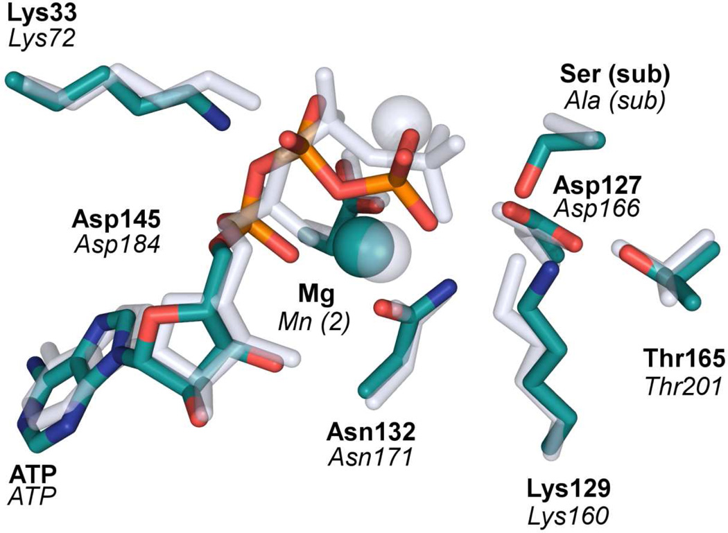 Figure 7