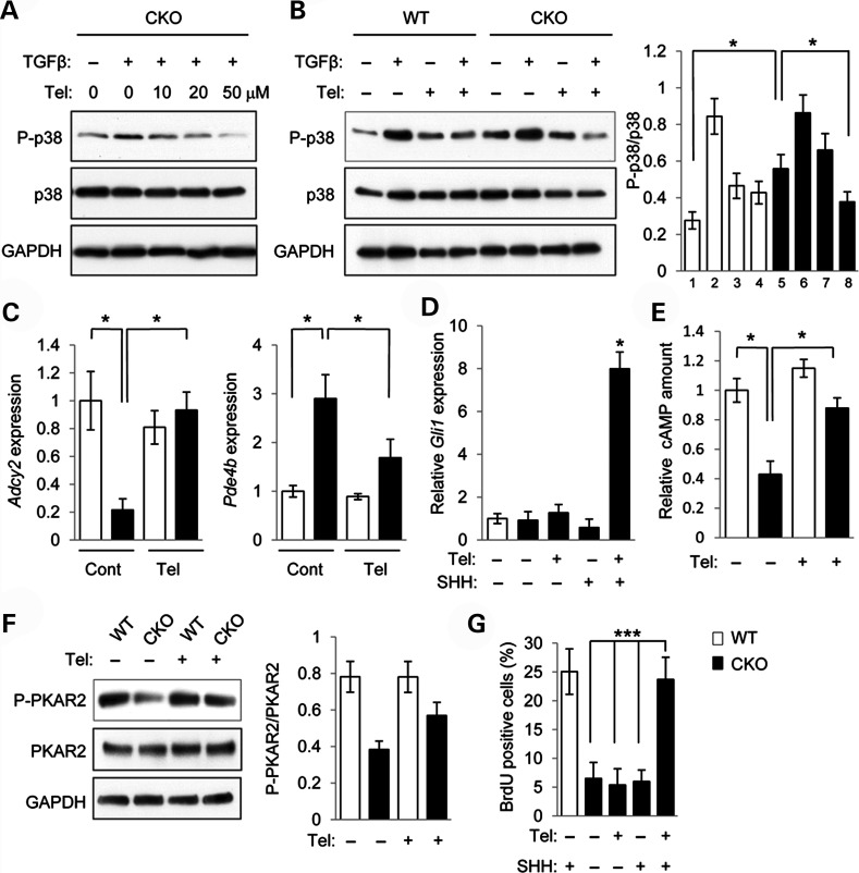 Figure 4.