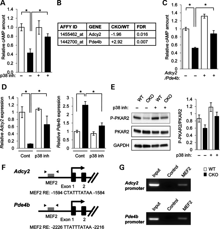 Figure 2.