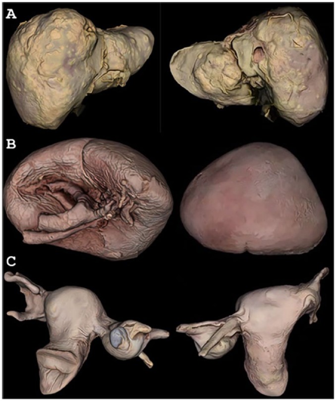 Figure 1.