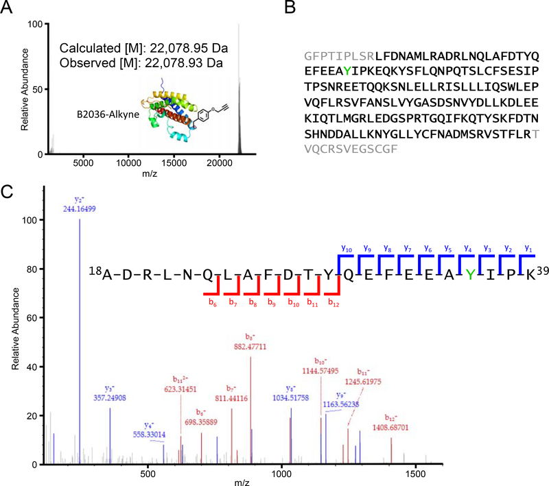 Figure 3.