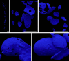 Extended Data Fig. 4