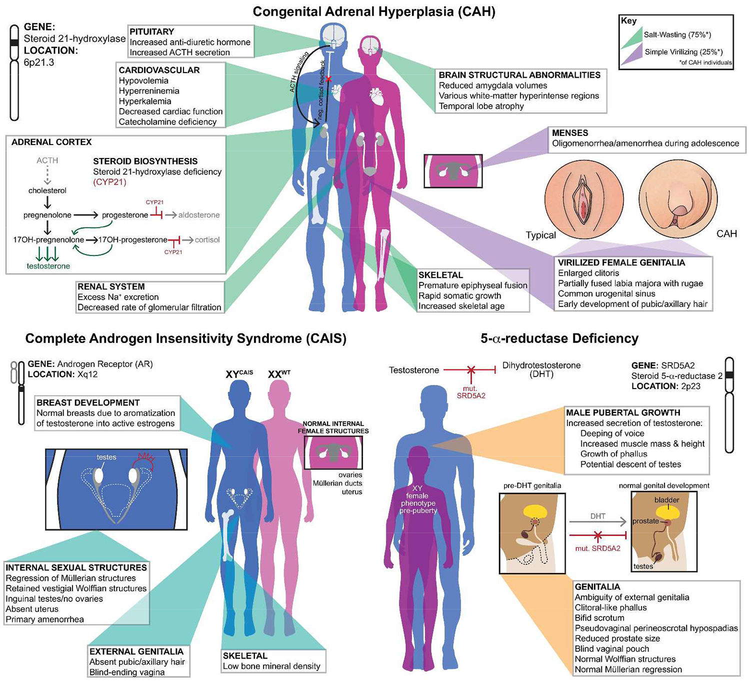 graphic file with name nihms-797244-f0001.jpg