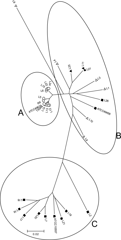 FIG. 1.