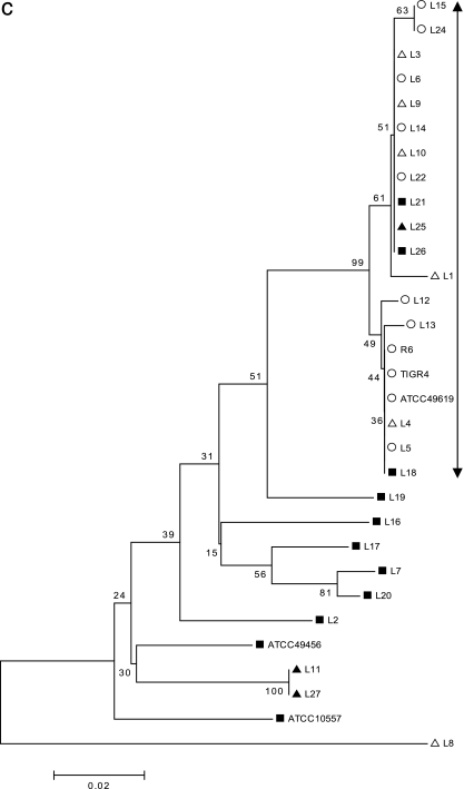 FIG. 2.