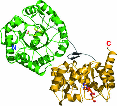 Fig. 2.