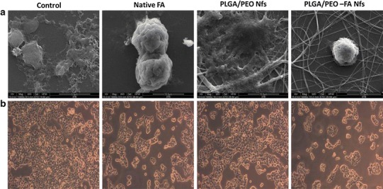 Fig. 9