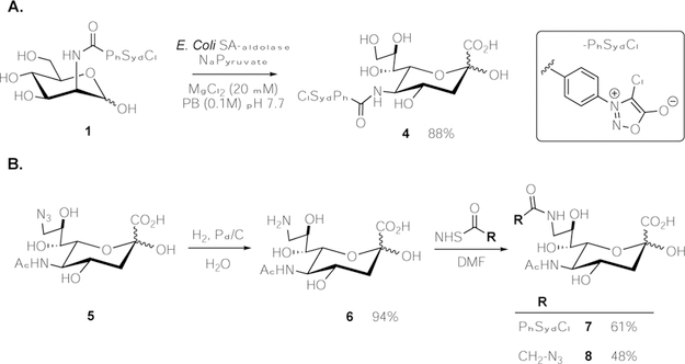 Scheme 1.