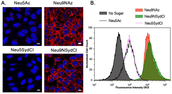 Figure 2.