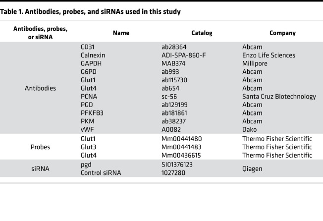 graphic file with name jciinsight-6-137594-g146.jpg