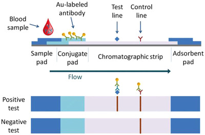 FIGURE 11