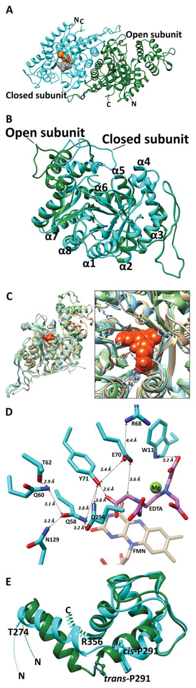 FIGURE 3