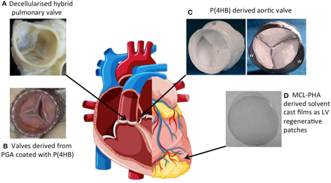 Figure 10