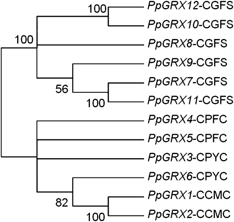 FIG. 4.—