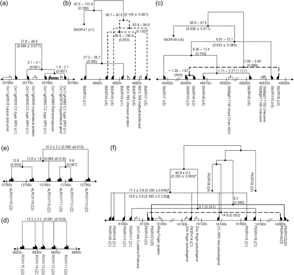 FIG. 7.—