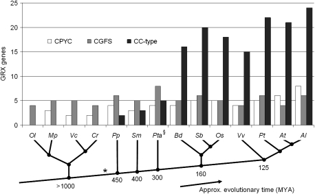 FIG. 1.—