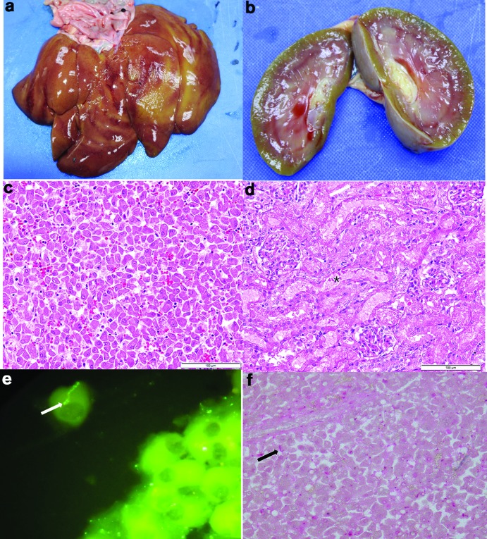 Fig. 3.