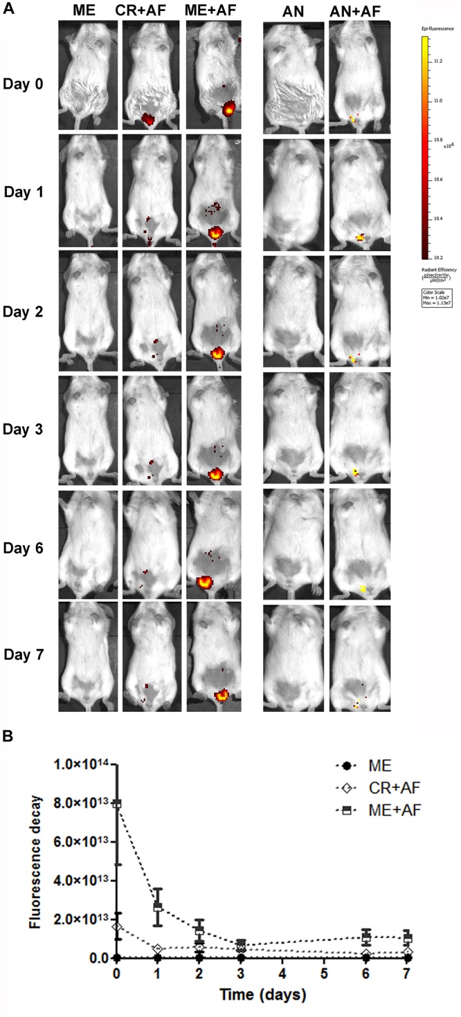 FIGURE 3