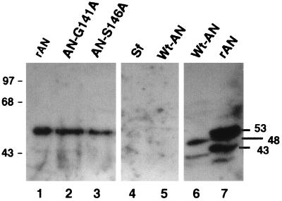 FIG. 5