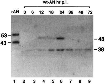 FIG. 7