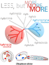 Graphical Abstract