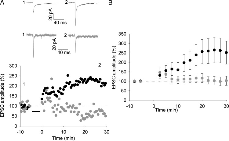 Figure 3.