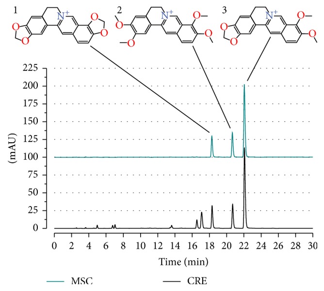 Figure 1