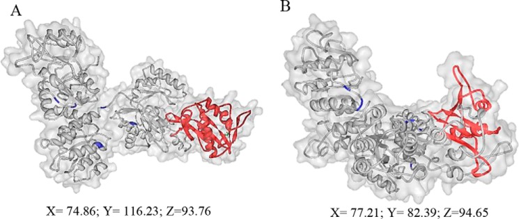 FIGURE 11.