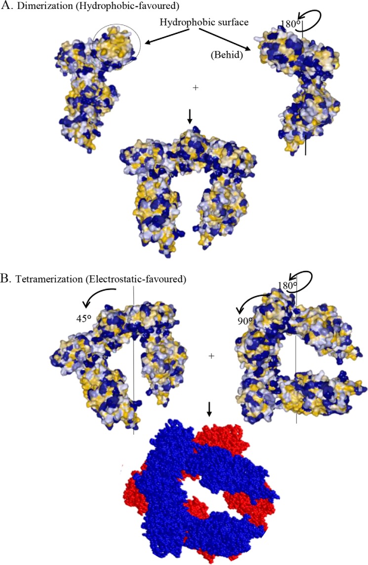 FIGURE 10.