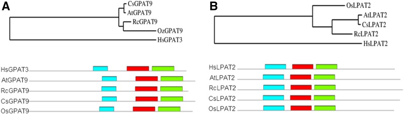 Figure 2.