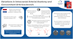 Graphical abstract