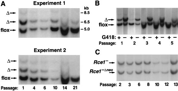 FIG. 6.