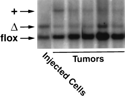 FIG. 10.