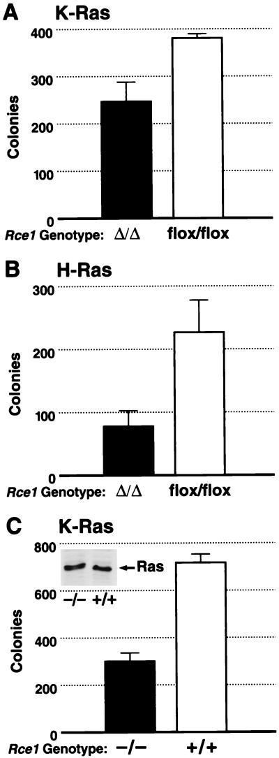 FIG. 9.