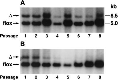 FIG. 7.