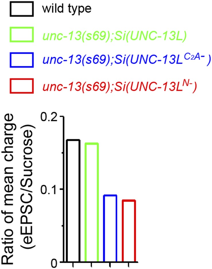 Figure 4—figure supplement 2.