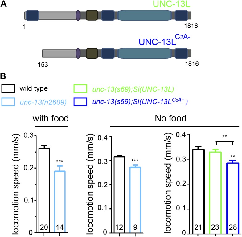 Figure 1—figure supplement 3.