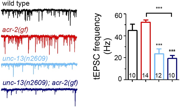 Figure 7—figure supplement 1.