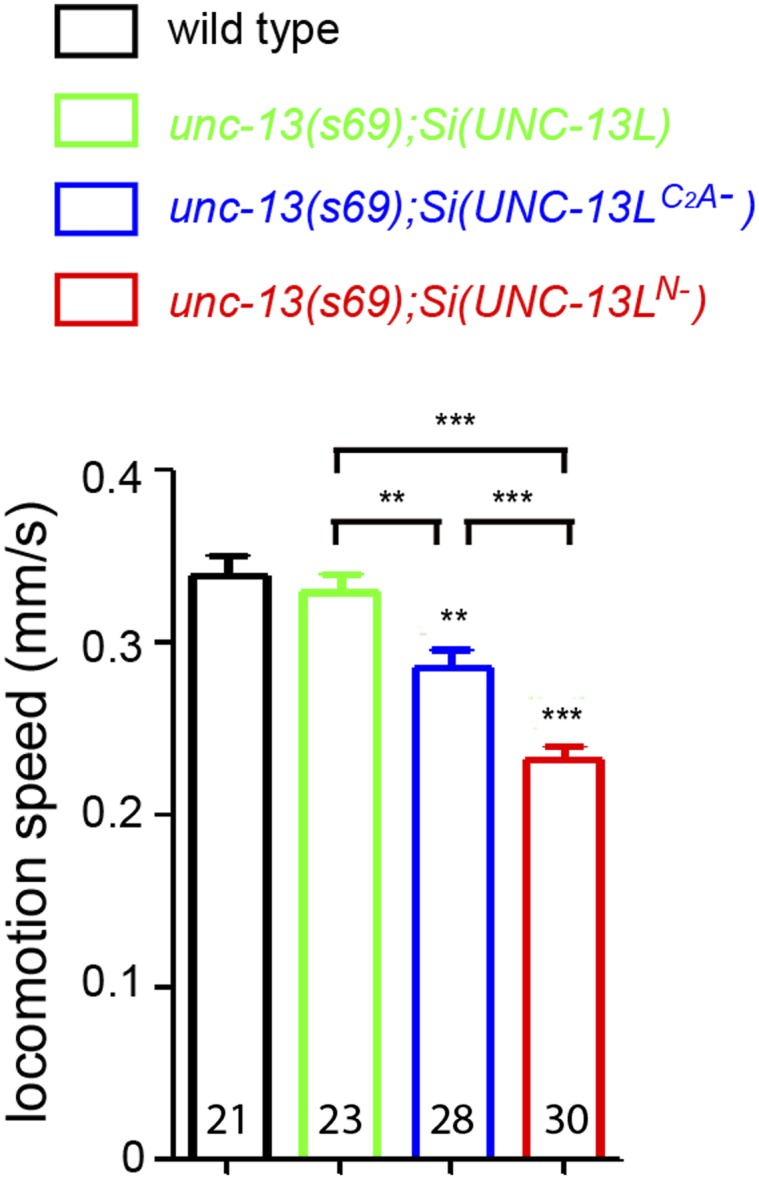 Figure 4—figure supplement 1.