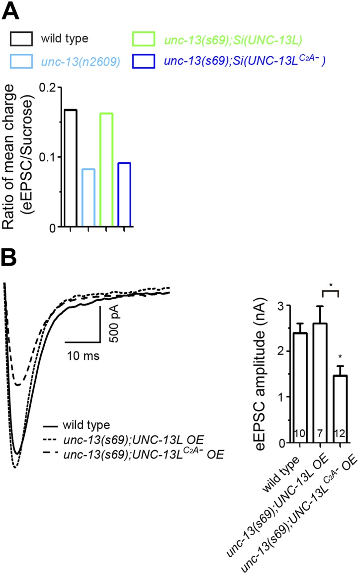 Figure 1—figure supplement 4.