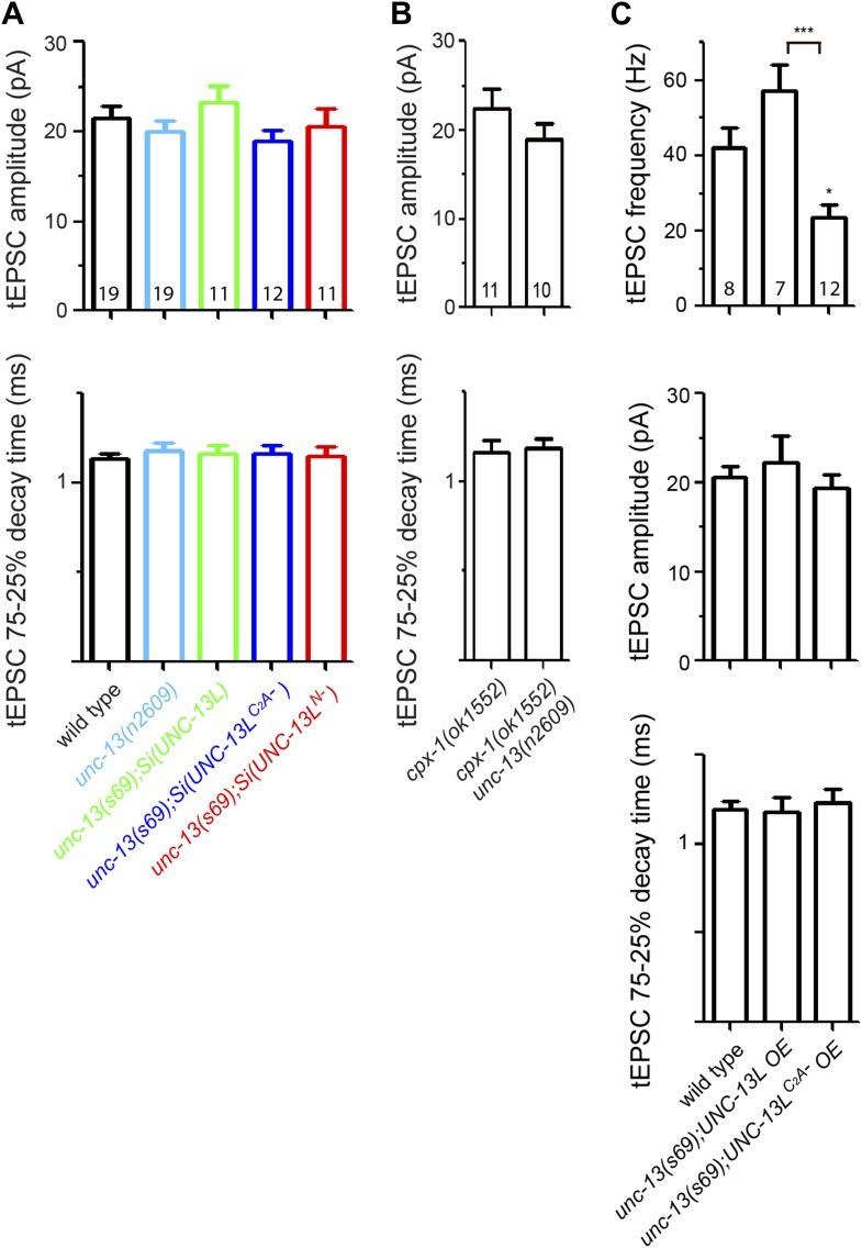 Figure 5—figure supplement 1.