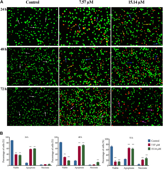 FIGURE 4