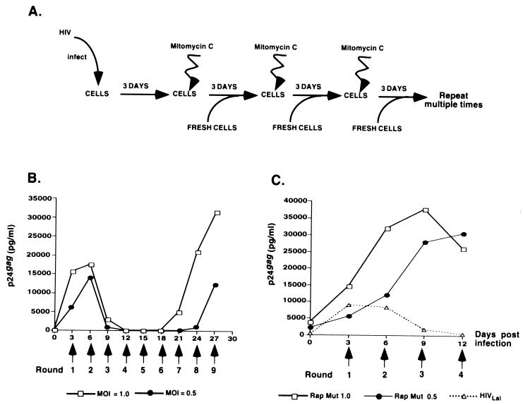 FIG. 1