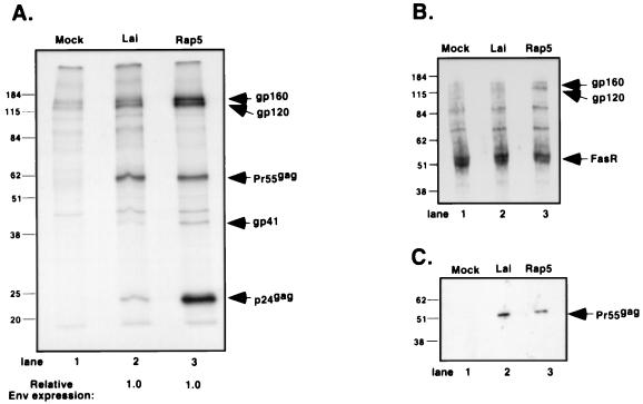 FIG. 5