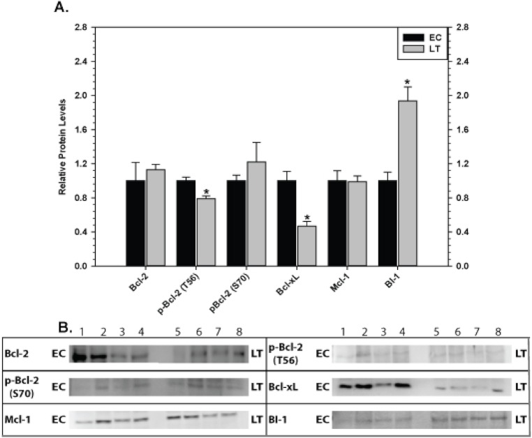 Figure 7