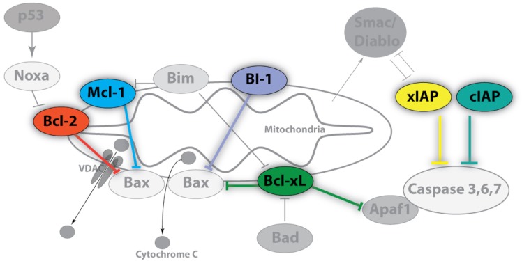 Figure 1